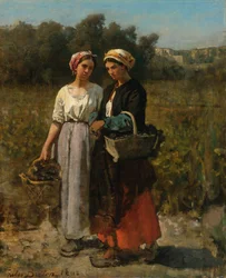 Twee jonge vrouwen bij de druivenoogst